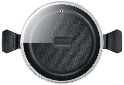 Tefal Easy Cook Stockpot 30 CM Titanium Non Stock Cooking Pot 4.7 L with Lid Suitable for All Heat Sources Except Induction B5546902