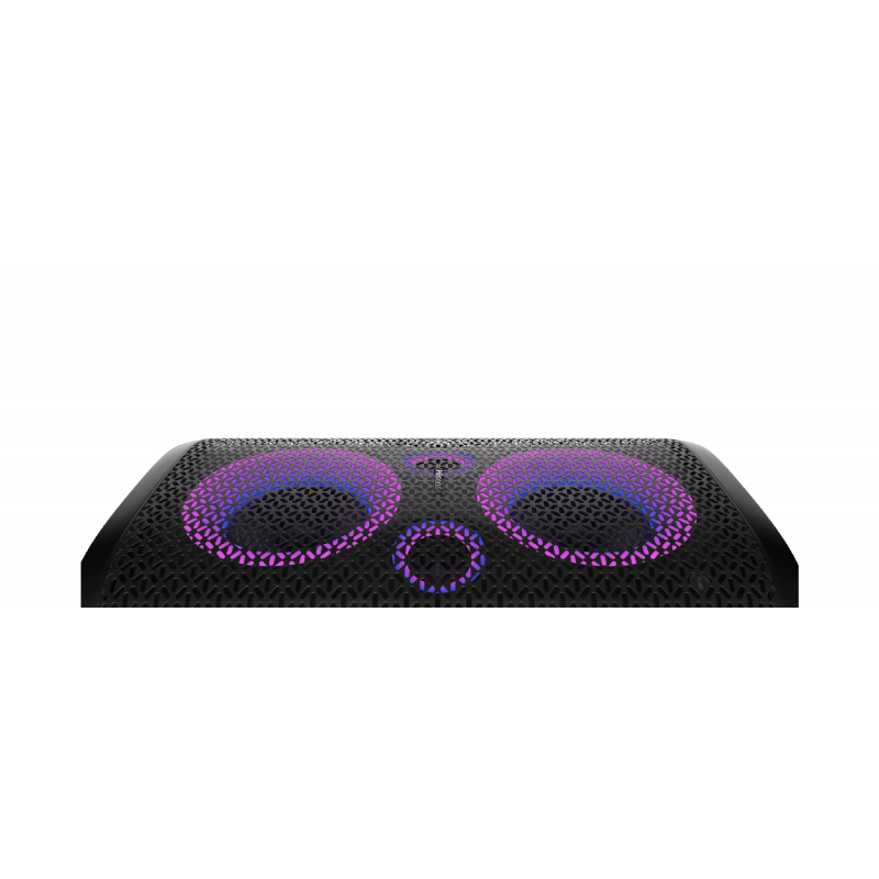 Hisense Ultimate Wireless Portable Speaker 300W, 2.0CH, with Party Lights, 15 Hour Long-Lasting Battery, Bluetooth 5.0, IPX4 Waterproof, DJ and Karaoke Mode Rocker One