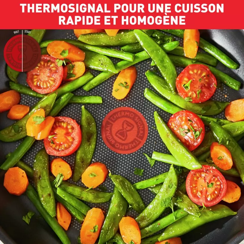 Tefal Total Induction Frypan 24cm Non Stick Thermo Signal Titanium Partials 100% Safe Frying Pan Black Aluminium G1520444